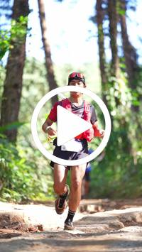 BIB:  <button type="button" onclick="openModal(26787645)" class="btn btn-primary btn-sm float-right" data-toggle="modal" data-target=".modal-high-quality">
                <i class="fa fa-download"></i> Download
                </button>